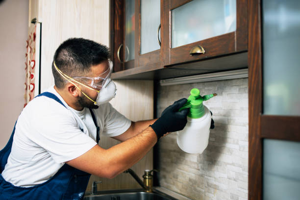 Best Exterminator Services  in Bonny Doon, CA