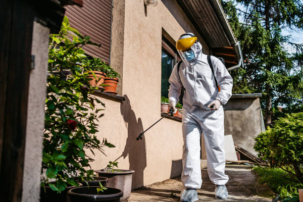 Pest Prevention Services in Bonny Doon, CA