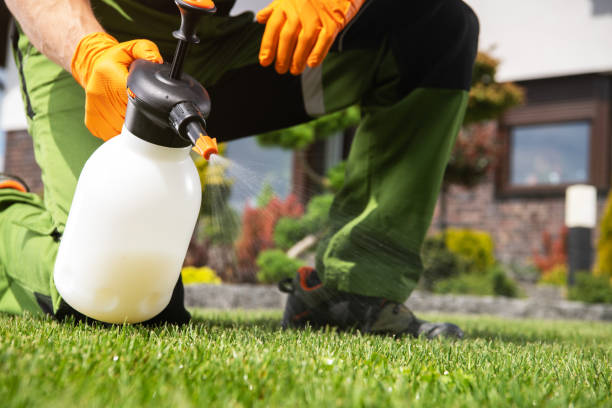 Best Rat Extermination Near Me  in Bonny Doon, CA