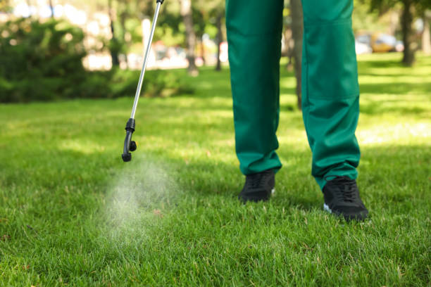 Best Pest Control Near Me  in Bonny Doon, CA