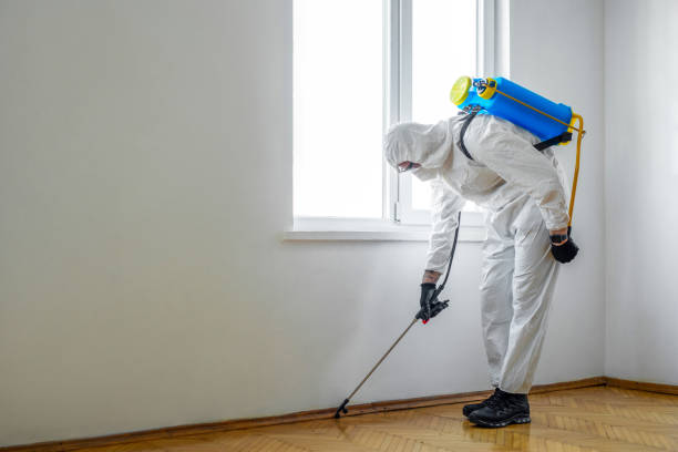 Best Insect Control  in Bonny Doon, CA