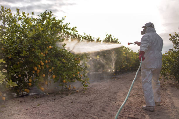 Bonny Doon, CA Pest Control Company