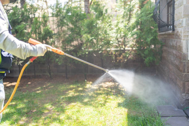 Best Residential Pest Control  in Bonny Doon, CA