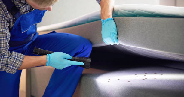 Best Termite Control Services  in Bonny Doon, CA