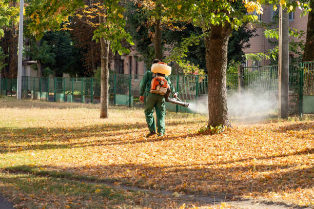 Best Ant Control Services  in Bonny Doon, CA