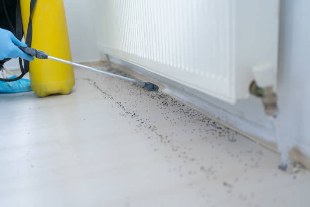 Best Commercial Pest Control Services  in Bonny Doon, CA