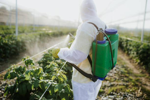 Best Emergency Pest Control  in Bonny Doon, CA